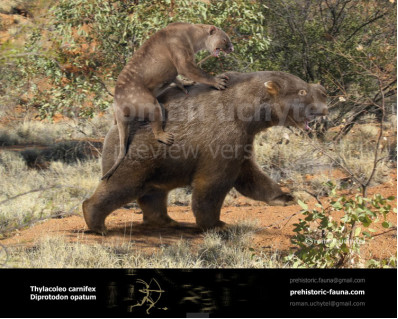 Marsupial lion (Thylacoleo carnifex)