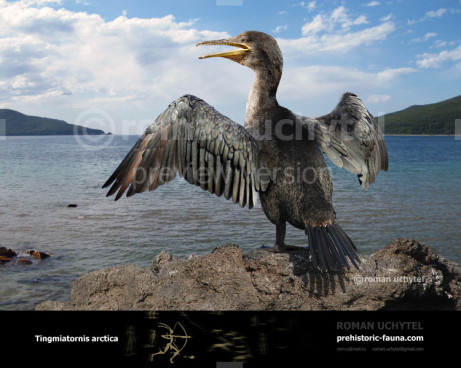 Tingmiatornis arctica