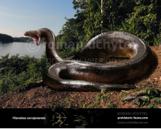 Titanoboa