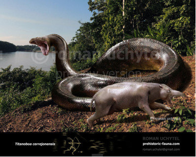 Titanoboa