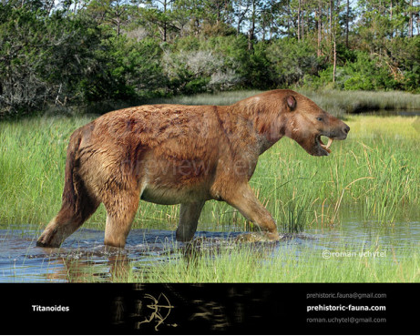 Titanoides