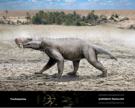 Trochosuchus