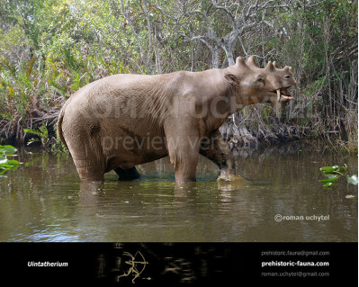 Uintatherium