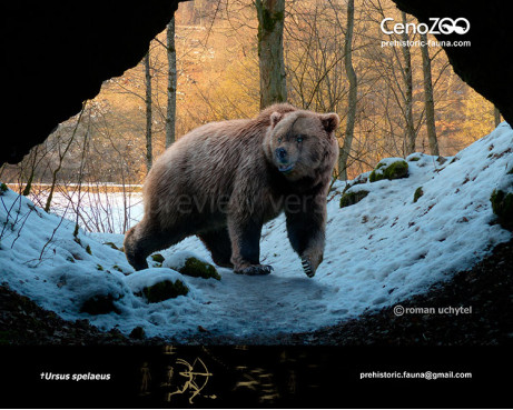 Ursus spelaeus (Cave bear)