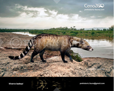 Giant civet