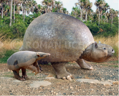 Size comparisons (Xenarthran mammals)