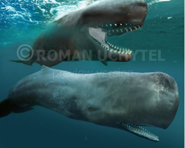 Guruh kunnilingus porno rasmlar