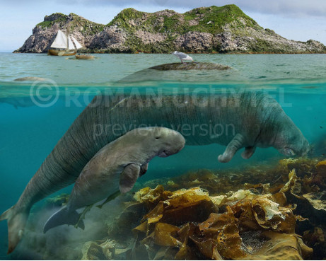 Hydrodamalis gigas and a dugong