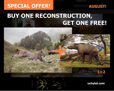 Special Offer!
