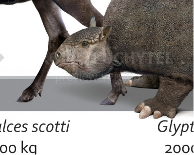Biggest Prehistoric Mammals of NA (Herbivore), poster