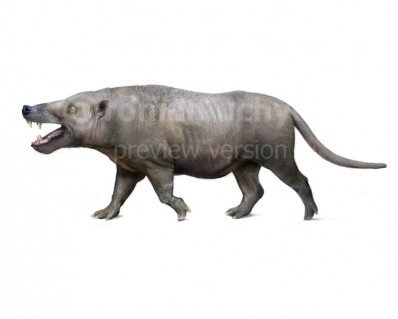 Andrewsarchus mongoliensis