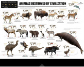 Animals destroyed by Civilization, poster