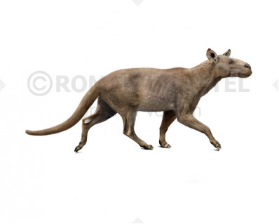 Anoplotherium