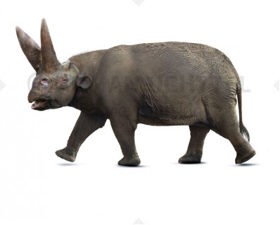 Arsinoitherium