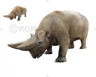 Arsinoitherium