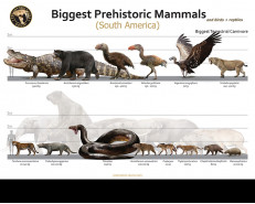 Biggest Prehistoric Animals of SA (Carnivore), poster