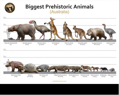 Biggest Prehistoric Animals of Australia, poster