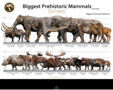 Biggest Prehistoric Mammals of Europe (Herbivore), poster