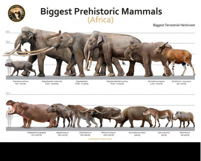 Biggest Prehistoric Mammals of Arica (Herbivore), poster