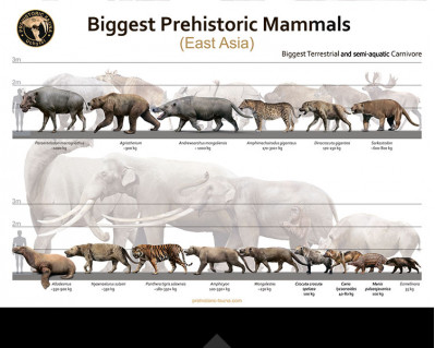 Biggest Prehistoric Mammals of East Asia (Carnivore), poster