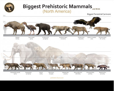 Biggest Prehistoric Mammals of NA (Carnivore), poster