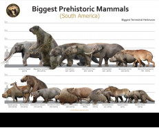 Biggest Prehistoric Mammals of SA (Herbivore), poster