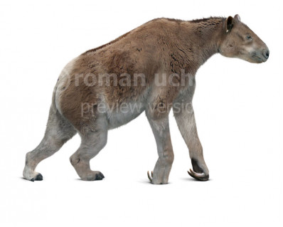 Chalicotherium goldfussi