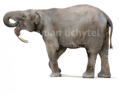 Deinotherium