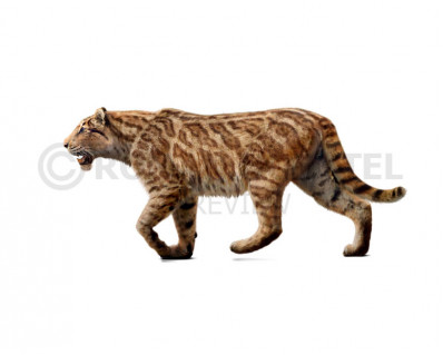 Dinofelis