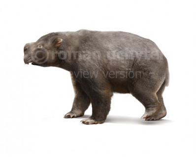 Diprotodon