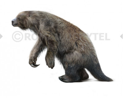 Eremotherium