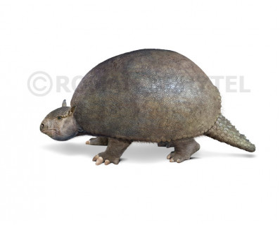 Glyptodon