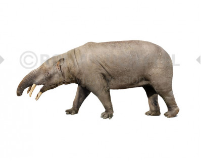 Granastrapotherium