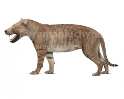 Hyaenodon gigas