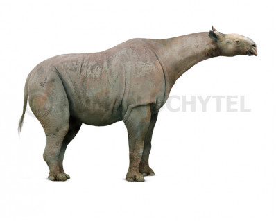 Indricotherium