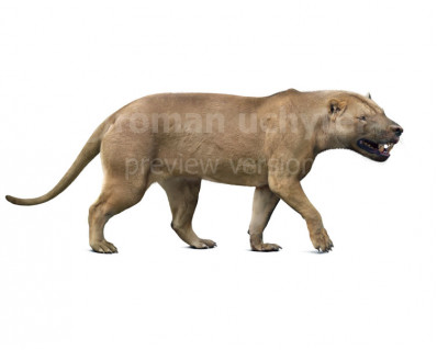 Megistotherium