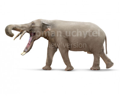 Platybelodon