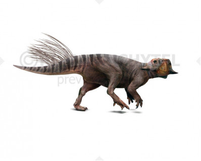 Griffin (Mythological paleontology)