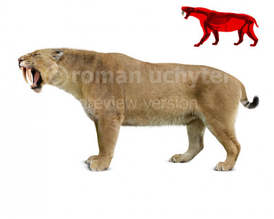 Smilodon populator