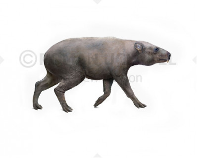 Titanohyrax