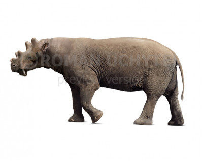 Uintatherium