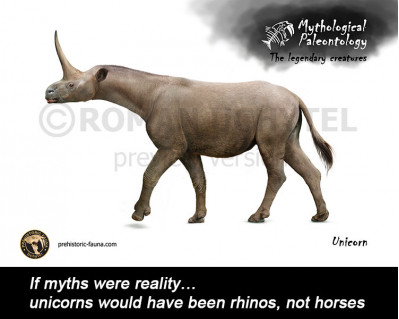 Unicorn (Mythological paleontology)