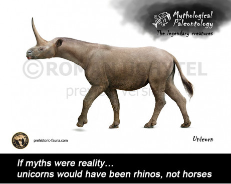 Unicorn (Mythological paleontology)