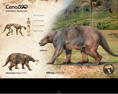 Barylambda (reconstruction)