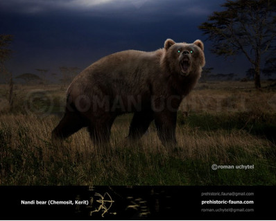 Nandi bear (Chemosit)