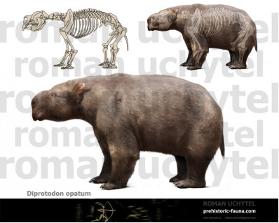 Diprotodon