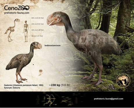 Diatryma (reconstruction)