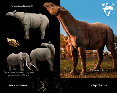 Indricotherium