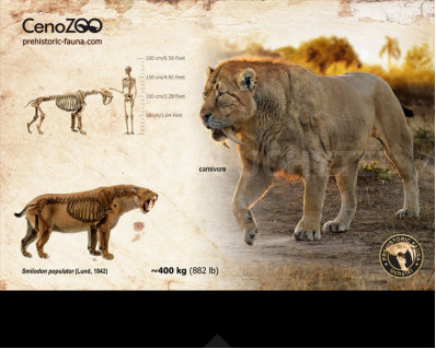 Smilodon populator