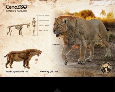 Smilodon populator (reconstruction)